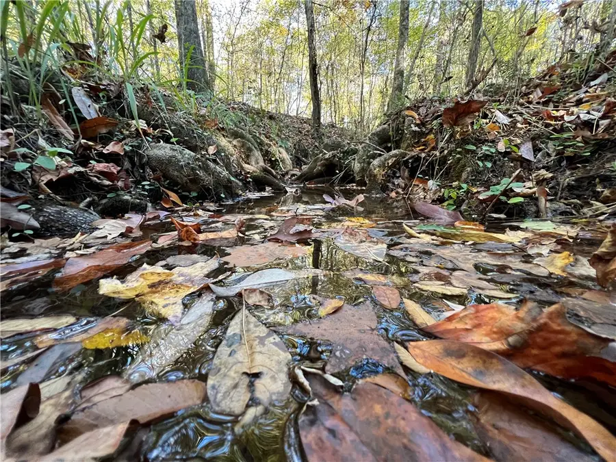 Address Withheld By Seller, Camp Hill, AL 36850 - Image #2