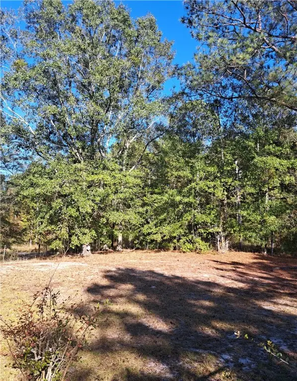 30 Detroit Lane, Tuskegee, AL 36083 - Image #3