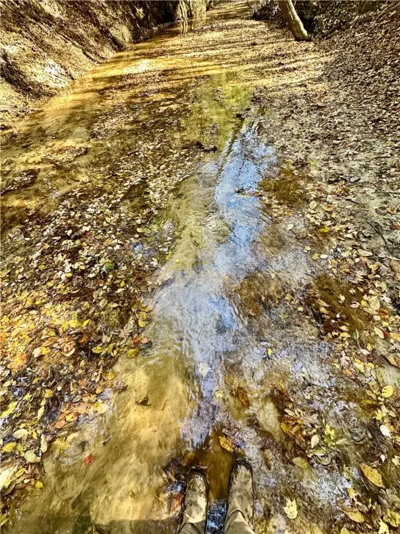 0 Al Highway 82, Eufaula, AL 36027 - Image #2