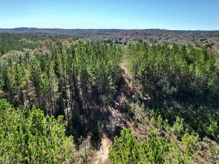 0 Al Highway 82, Eufaula, AL 36027 - Image #3