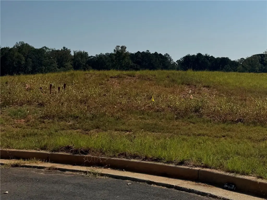 LOT 14 Long Leaf Lane, Opelika, AL 36804 - Image #1