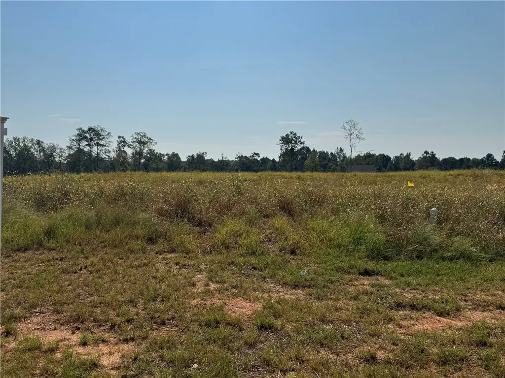LOT 16 Long Leaf Lane, Opelika, AL 36804 - Image #1