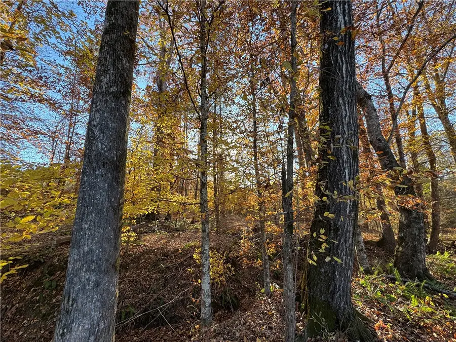 0 Germany's Ferry, Daviston, AL 36256 - Image #3