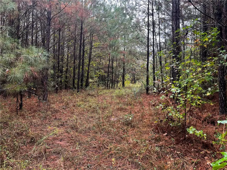 0 County Road 30, Shorter, AL 36075 - Image #2