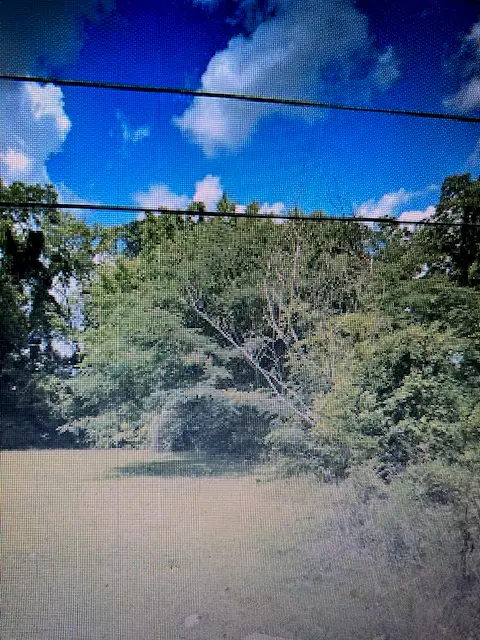 506 S 4th Street, Opelika, AL 36801