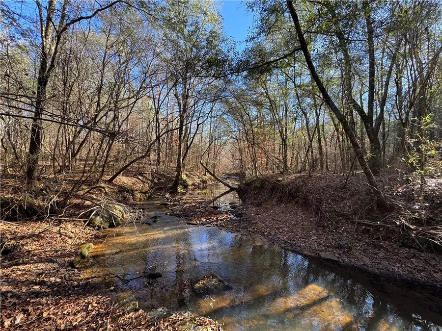 0 Pleasant, Camp Hill, AL 36850 - Image #3