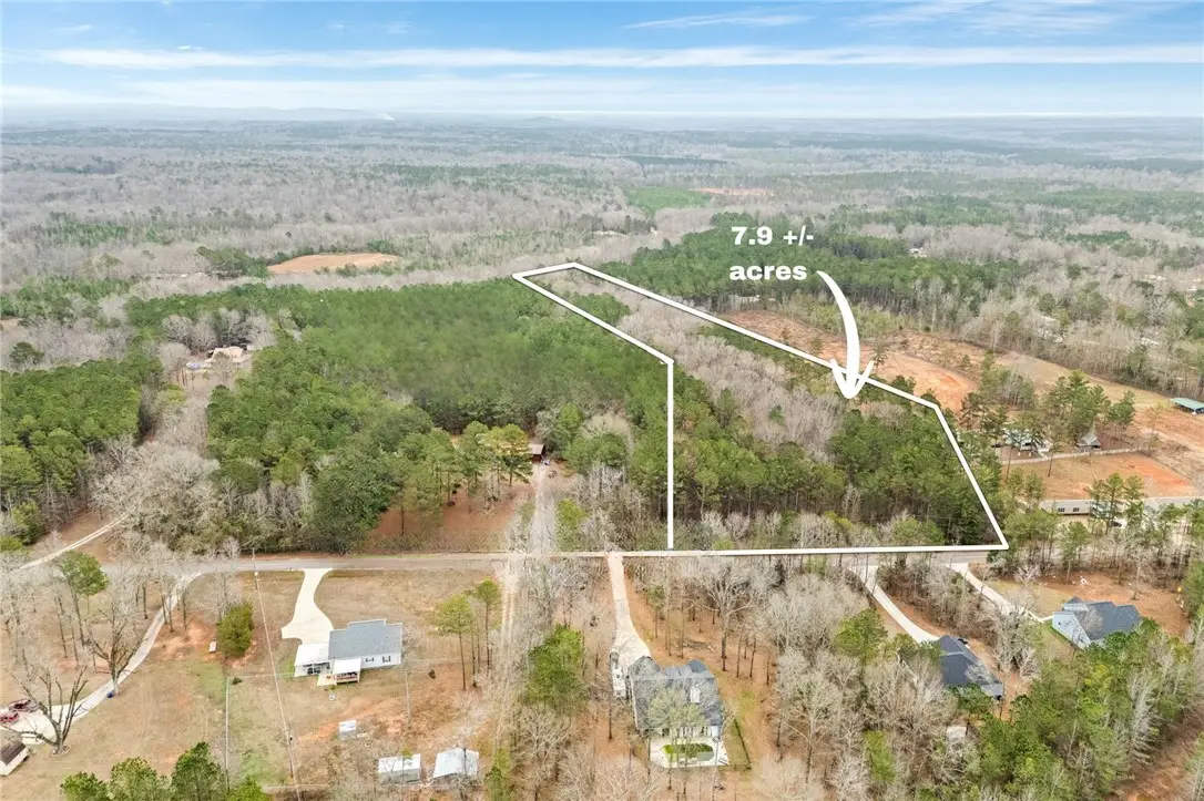 0 Lee Road 263, Cusseta, AL 36852 - Image #1
