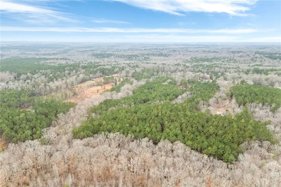 0 Lee Road 263, Cusseta, AL 36852 - Image #3