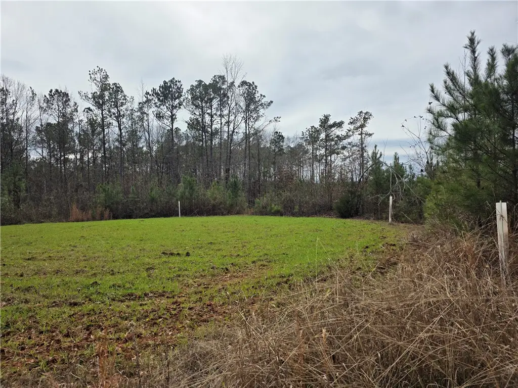 0 S Thornton Road, Camp Hill, AL 36850 - Image #1