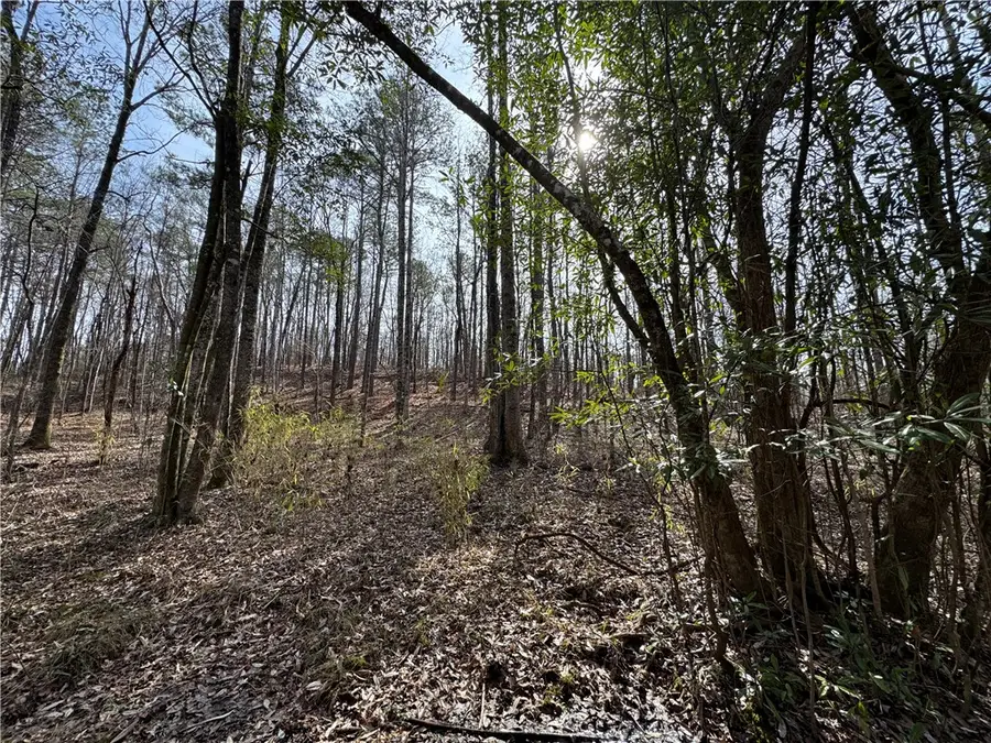 0 S Thornton Road, Camp Hill, AL 36850 - Image #2