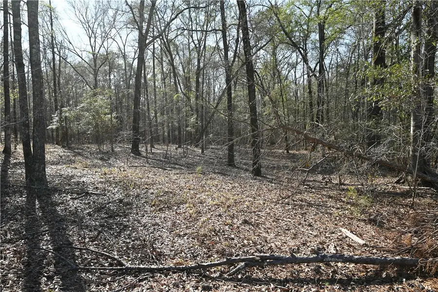 3640 Ridgeline Trail, Auburn, AL 36830 - #3