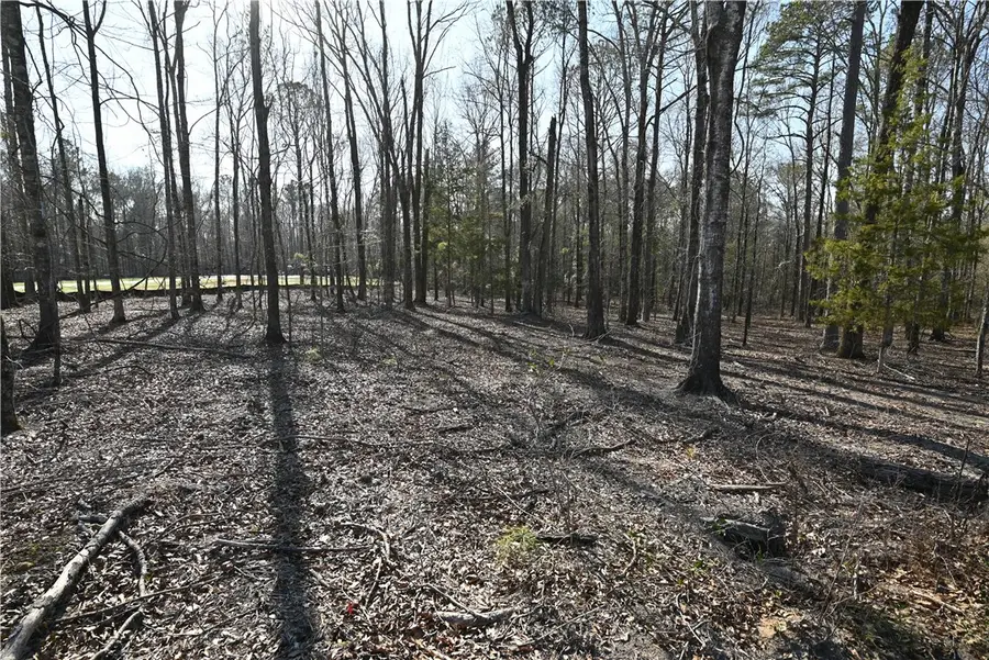 501 Rolling Oaks Court, Auburn, AL 36830 - #3