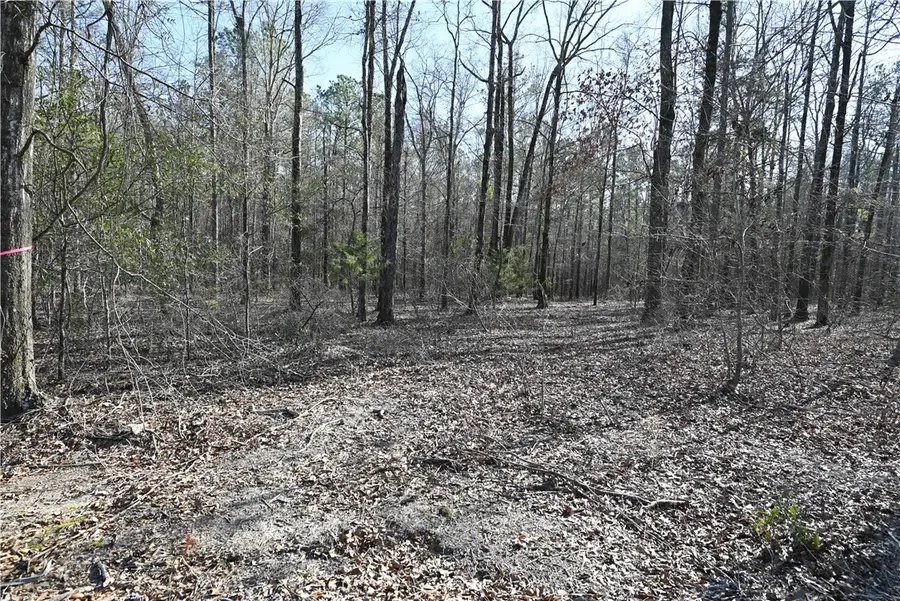 3700 Ridgeline Trail, Auburn, AL 36830 - #3