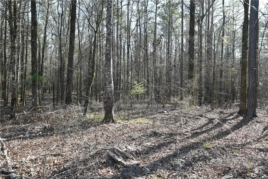 3720 Ridgeline Trail, Auburn, AL 36830 - #3