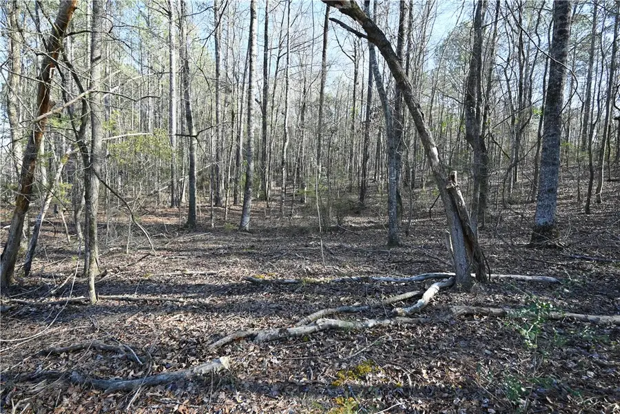 3760 Ridgeline Trail, Auburn, AL 36830 - #3