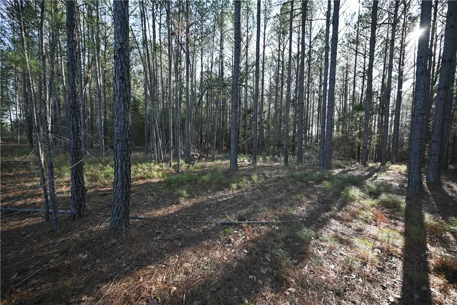 3820 Ridgeline Trail, Auburn, AL 36830 - #3