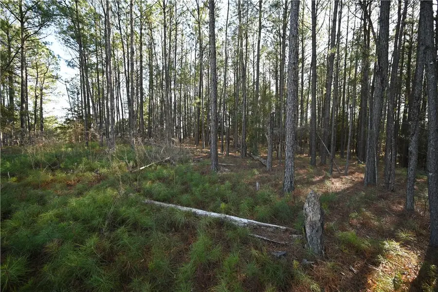 3840 Ridgeline Trail, Auburn, AL 36830 - Image #3