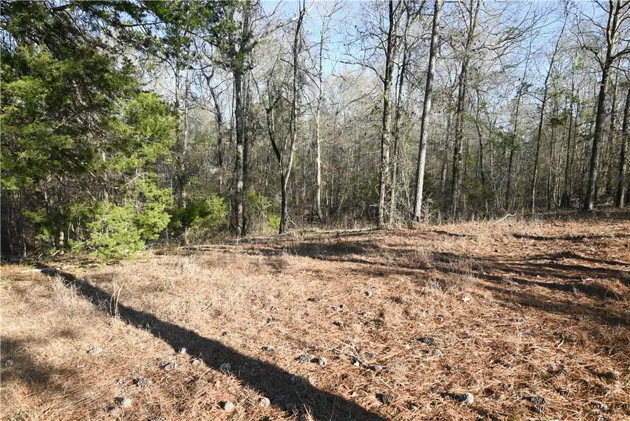 3845 Ridgeline Trail, Auburn, AL 36830 - #3