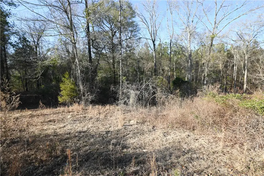 3827 Ridgeline Trail, Auburn, AL 36830 - Image #3