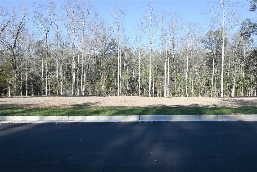 3811 Ridgeline Trail, Auburn, AL 36830 - #1