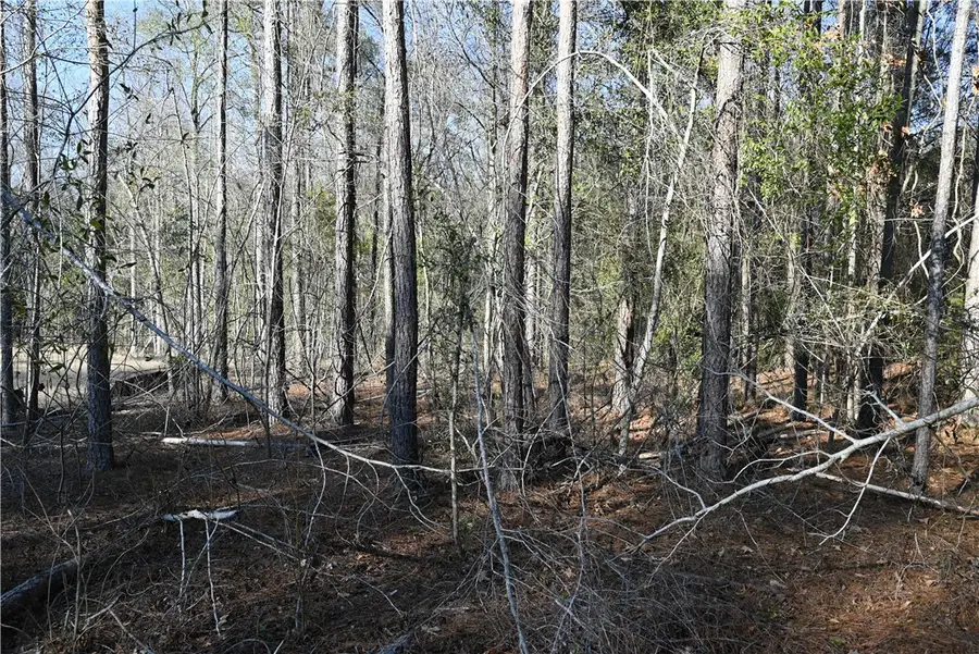 3795 Ridgeline Trail, Auburn, AL 36830 - #3