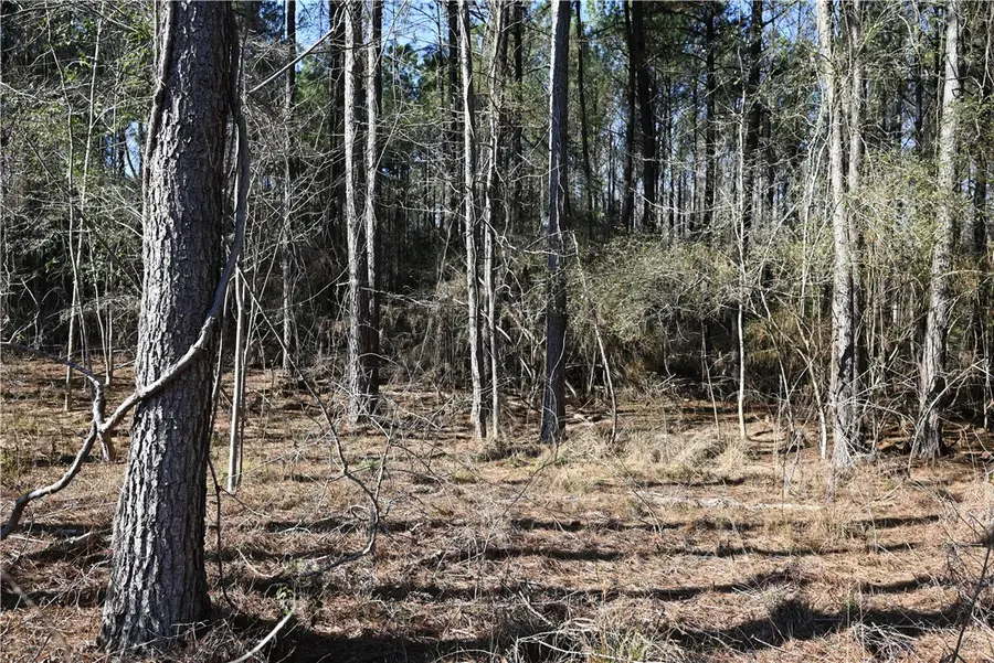 3735 Ridgeline Trail, Auburn, AL 36830 - #3