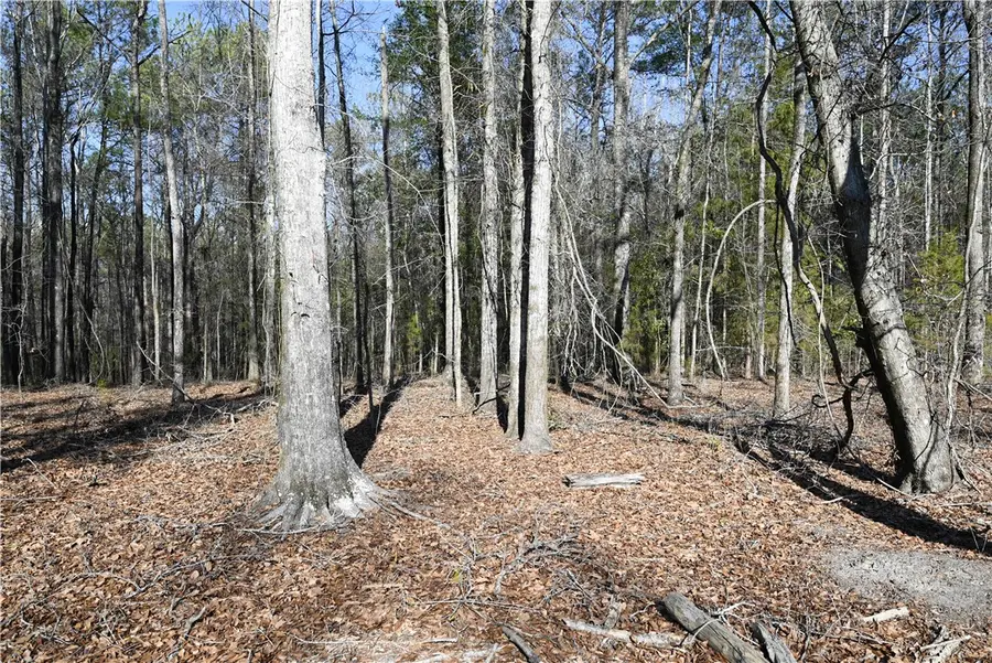 Address Withheld By Seller, Auburn, AL 36830 - #3