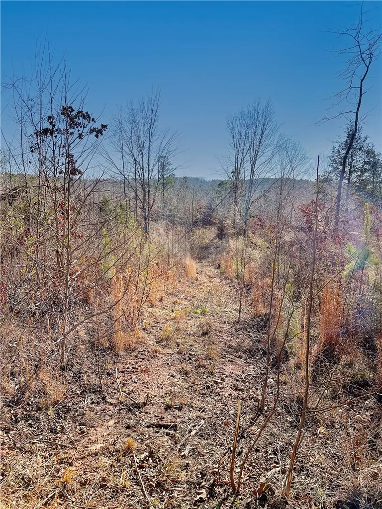 0 County Road 70, Camp Hill, AL 36850 - Image #2