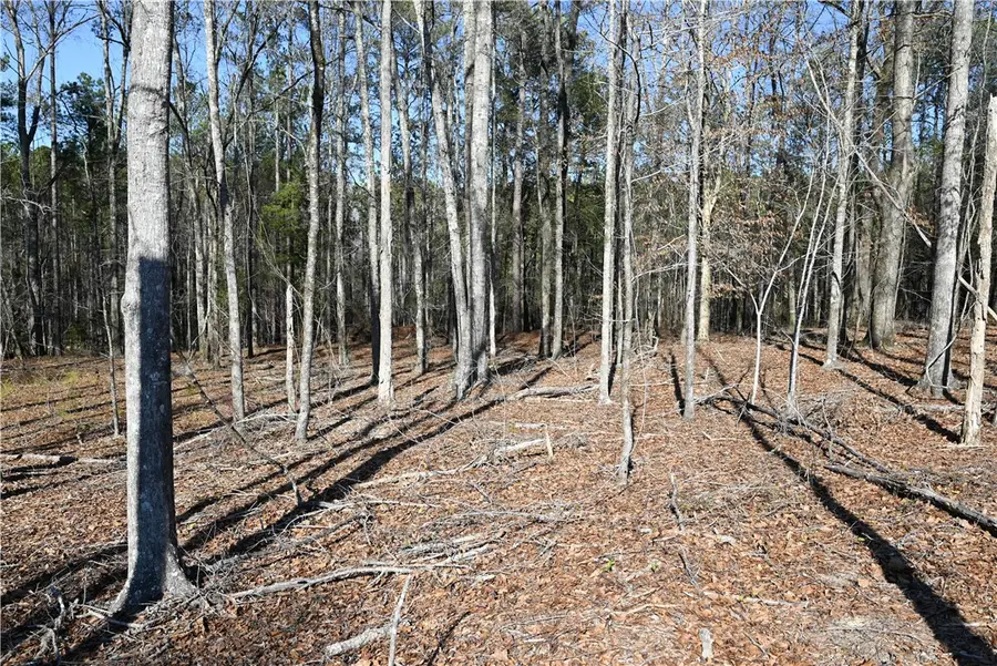 3655 Ridgeline Trail, Auburn, AL 36830 - #3