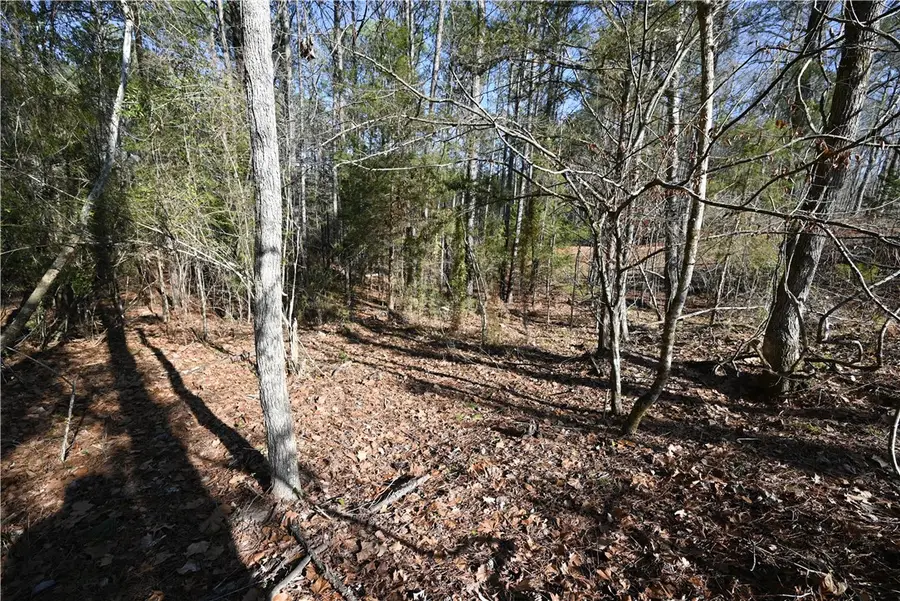 3635 Ridgeline Trail, Auburn, AL 36830 - #3