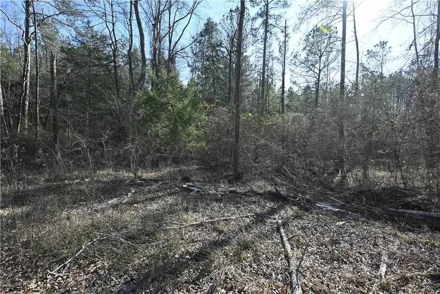 3557 Ridgeline Trail, Auburn, AL 36830 - #3