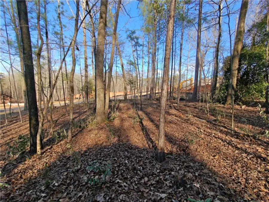 1965 Arrowhead Avenue, Opelika, AL 36801 - #2