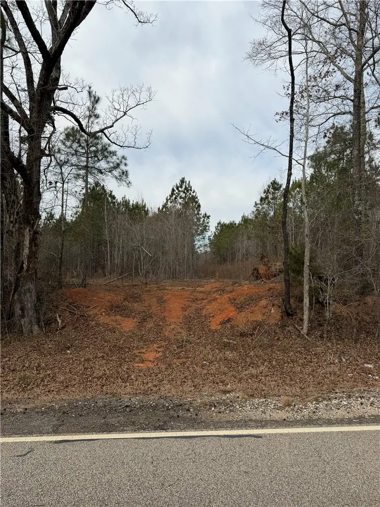 4 Old Columbus Road, Opelika, AL 36804 - Image #1