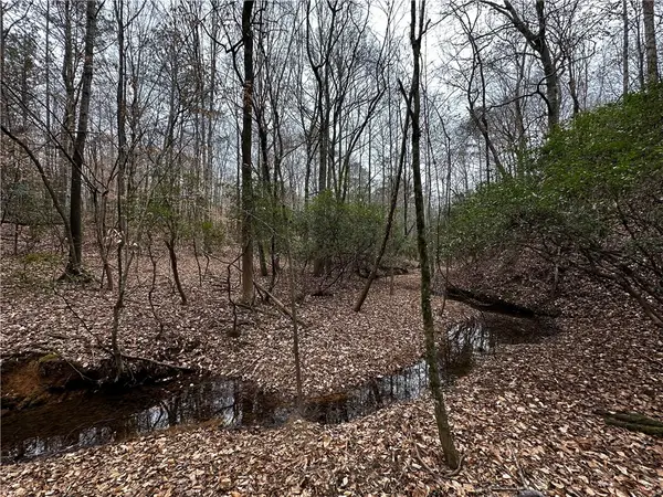 0 Lee Road 367, Valley, AL 36854