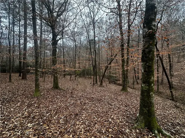 0 Lee Road 367, Valley, AL 36854