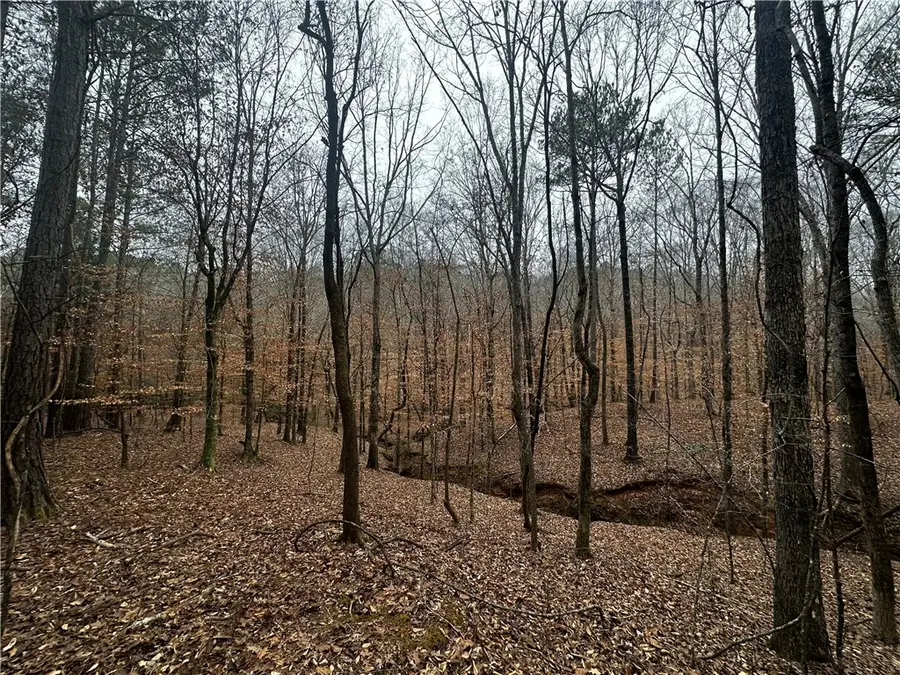 0 Lee Road 367, Valley, AL 36854 - #2