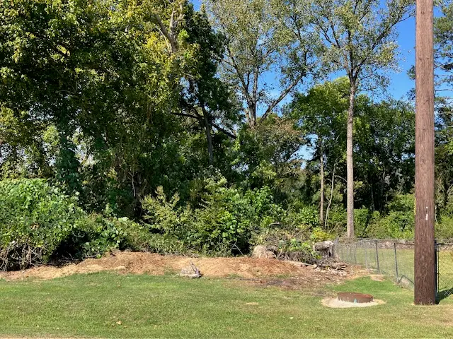 0 Monroe Avenue, Opelika, AL 36801 - #3