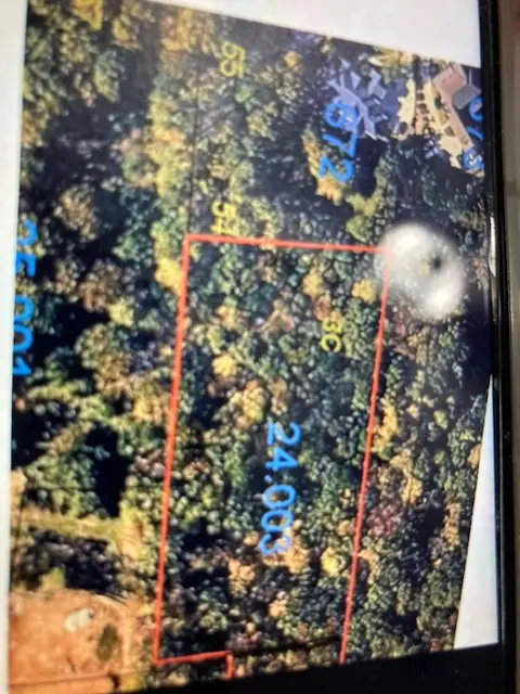 1351 Ogletree Road, Auburn, AL 36830 - #3