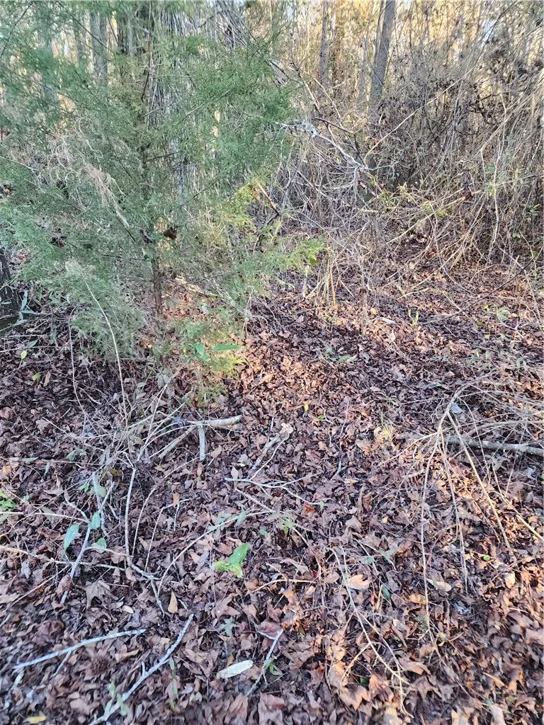 1598 Lee Road 39, Opelika, AL 36804 - #1