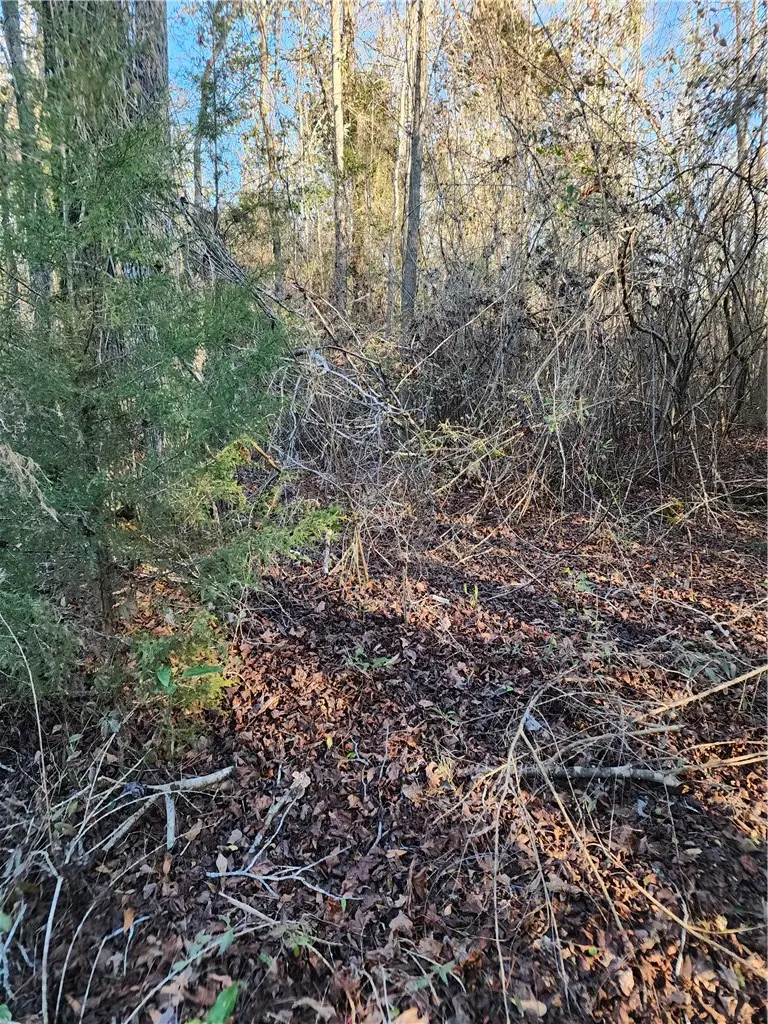 1598 Lee Road 39, Opelika, AL 36804 - #2