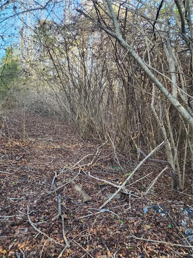 1598 Lee Road 39, Opelika, AL 36804 - #3