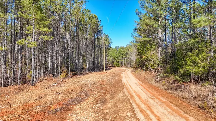0 County Road 95, Lafayette, AL 36862 - #2