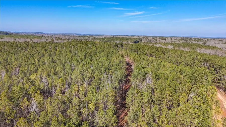 0 County Road 95, Lafayette, AL 36862 - #3