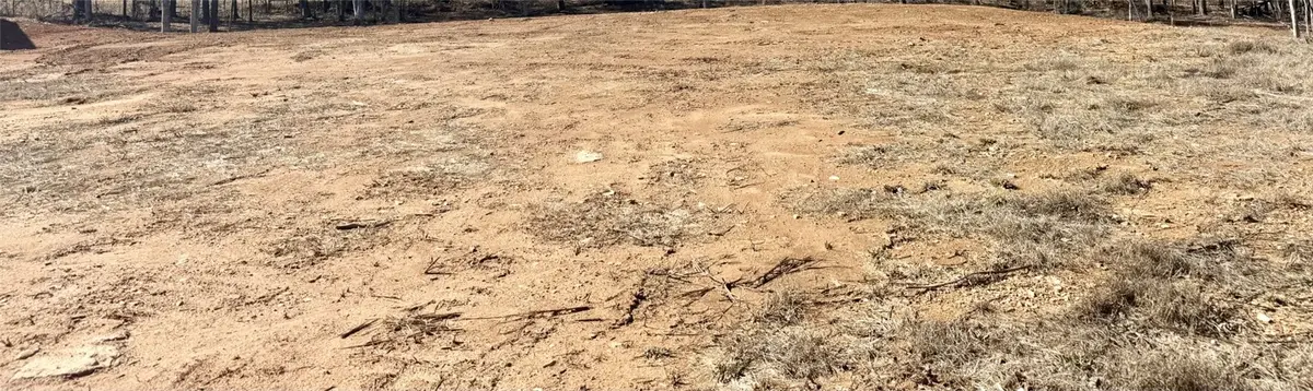 Lot 3 Lee Road 353, Valley, AL 36854 - #1