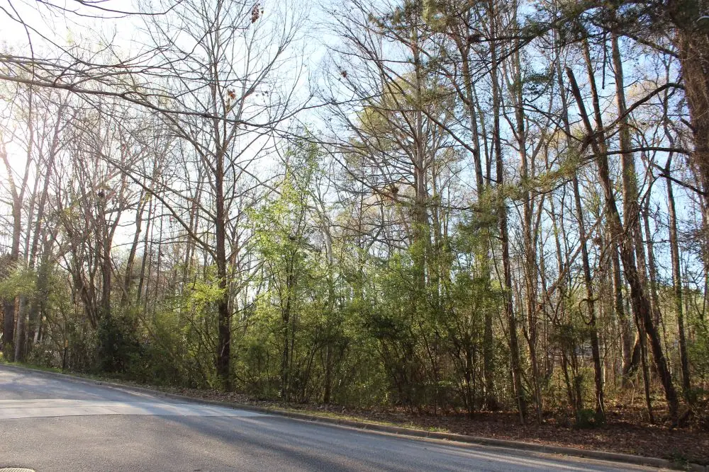 0 Summertrees Drive, Auburn, AL 36832 - #1