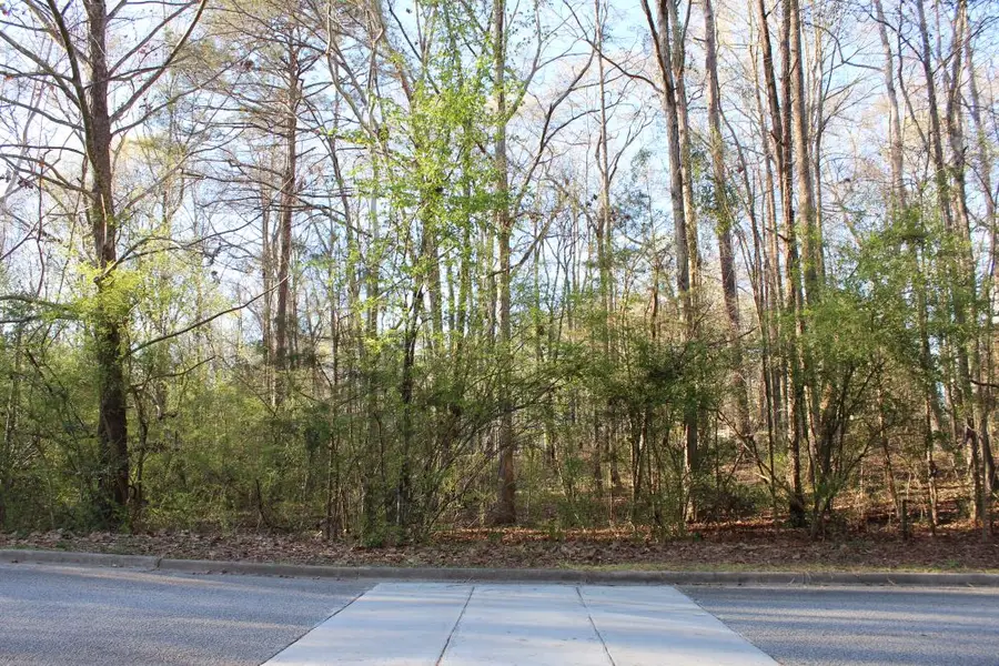 0 Summertrees Drive, Auburn, AL 36832 - #2