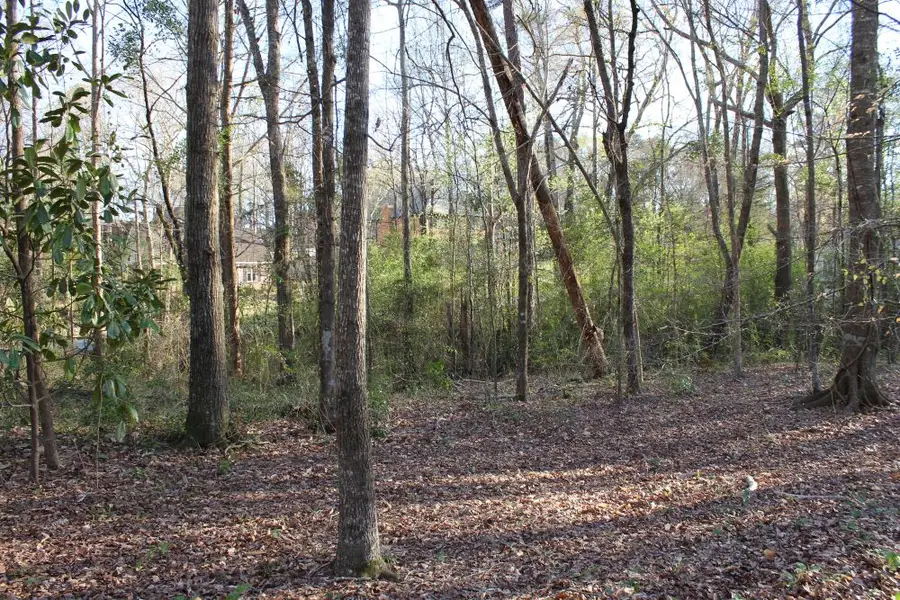 0 Summertrees Drive, Auburn, AL 36832 - #3