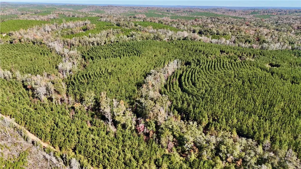 0 Al Highway 82, Eufaula, AL 36027 - #1