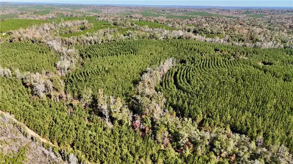 0 Al Highway 82, Eufaula, AL 36027