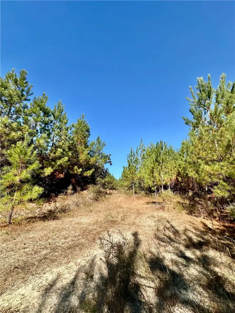 0 Al Highway 82, Eufaula, AL 36027 - #3